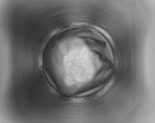 X0000101090809200807241006