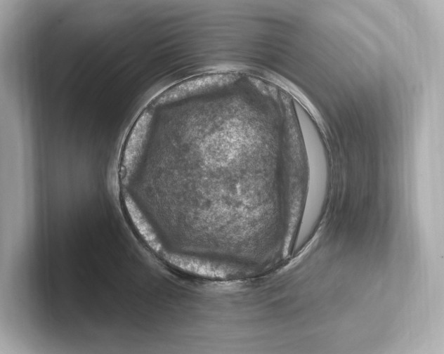 X0000101090810200807241006