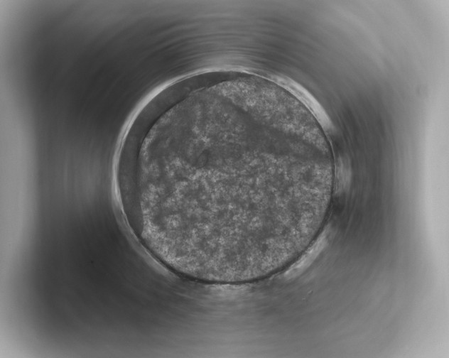 X0000101090812200807241006