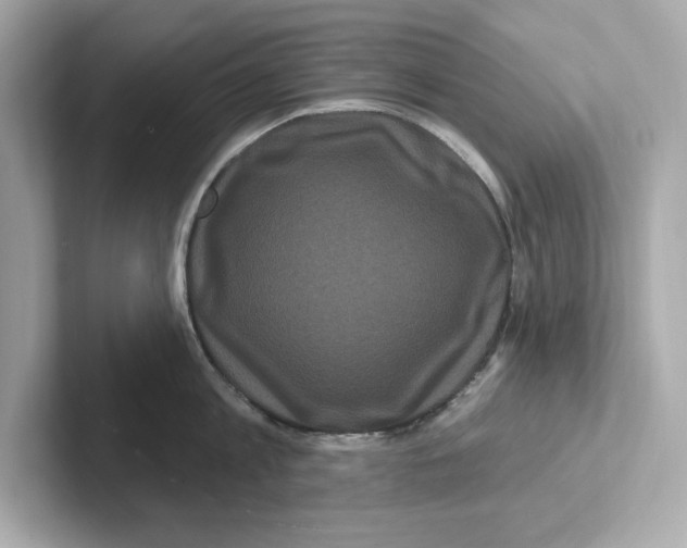 X0000101090813200807241006