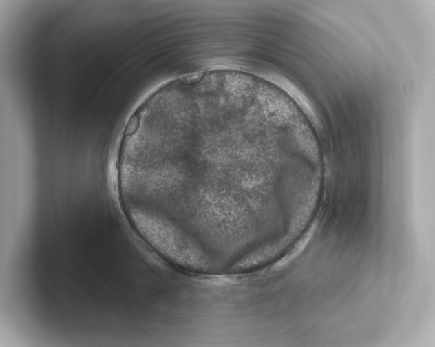 X0000101090814200807241006