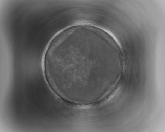 X0000101090815200807241006