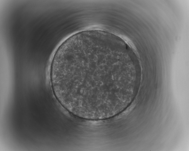 X0000101090816200807241006