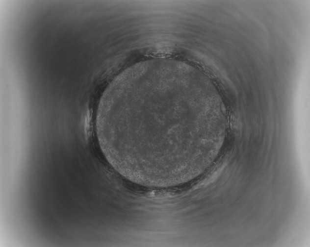 X0000101090818200807241006