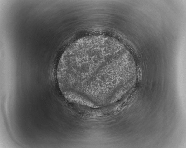 X0000101090819200807241006