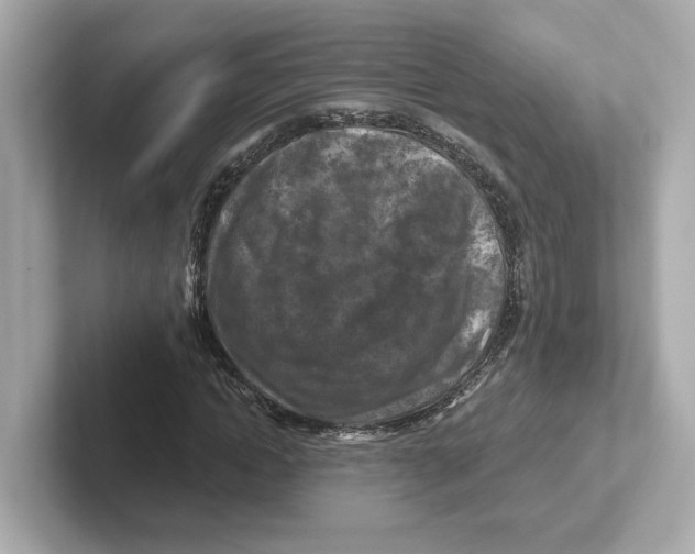 X0000101090822200807241006