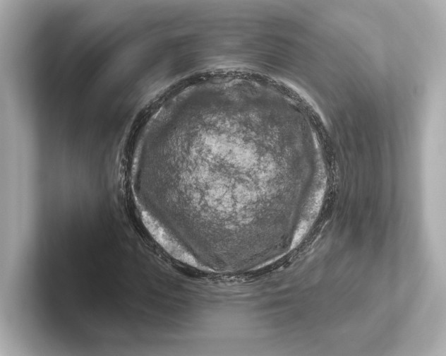 X0000101090823200807241006