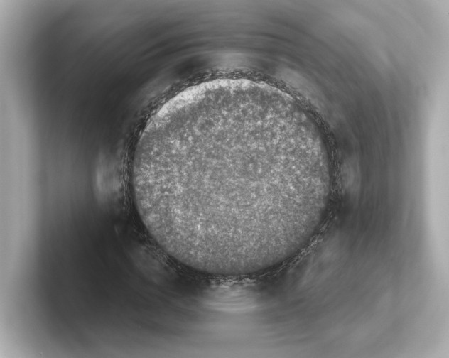 X0000101090824200807241006