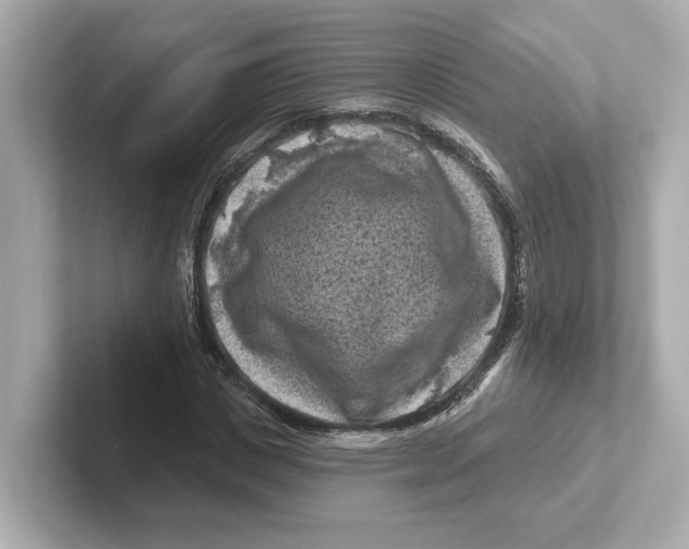 X0000101090825200807241006