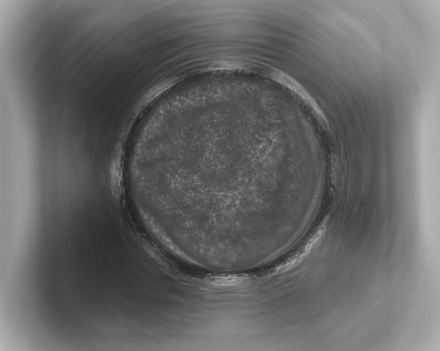 X0000101090826200807241006