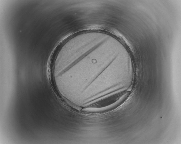 X0000101090827200807241006