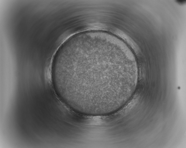 X0000101090828200807241006