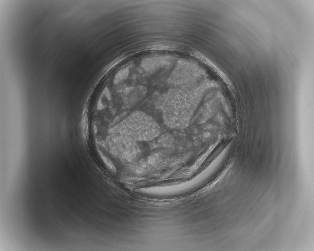 X0000101090829200807241006