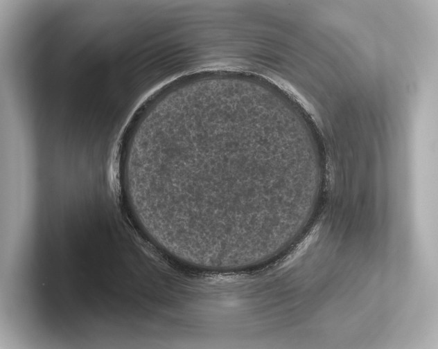 X0000101090830200807241006