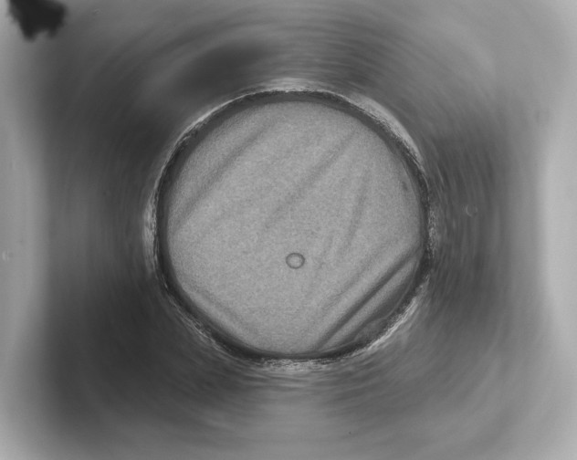 X0000101090831200807241006