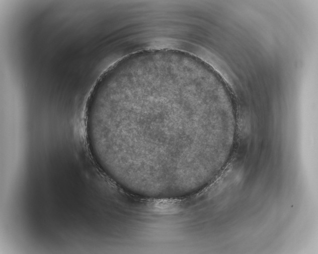 X0000101090832200807241006