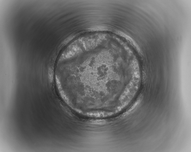 X0000101090833200807241006