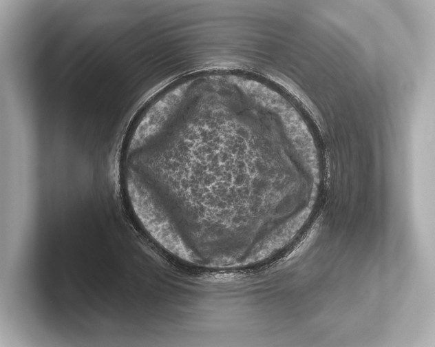 X0000101090834200807241006