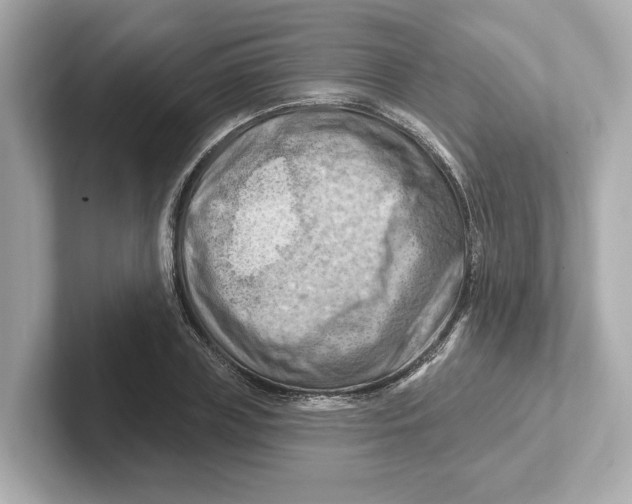 X0000101090835200807241006