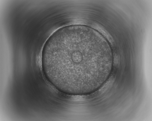 X0000101090836200807241006