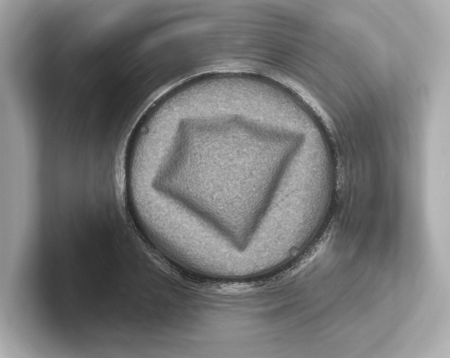 X0000101090837200807241006