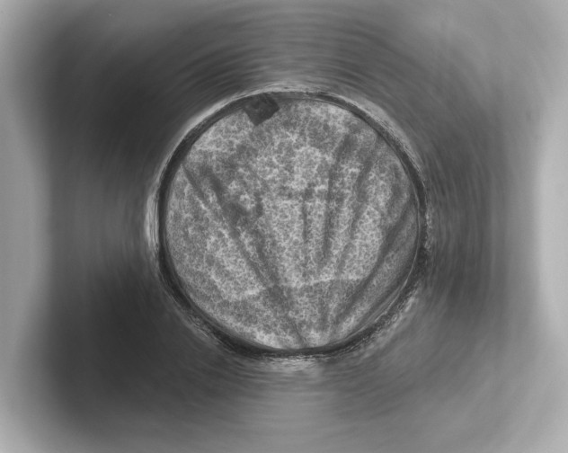 X0000101090838200807241006