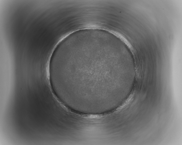 X0000101090839200807241006