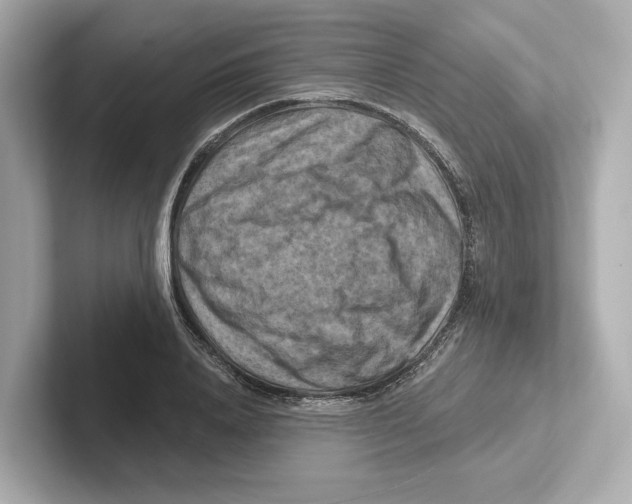 X0000101090840200807241006