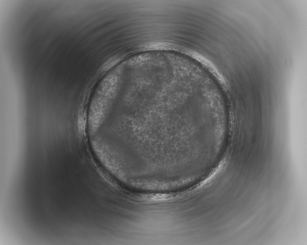 X0000101090841200807241006