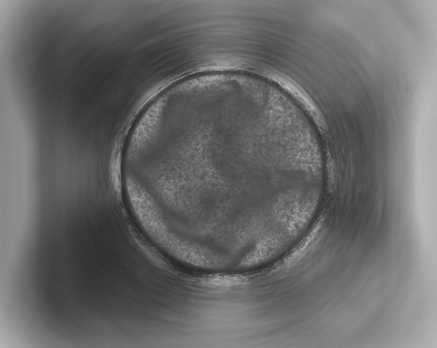 X0000101090842200807241006