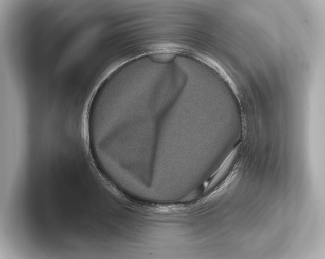 X0000101090843200807241006