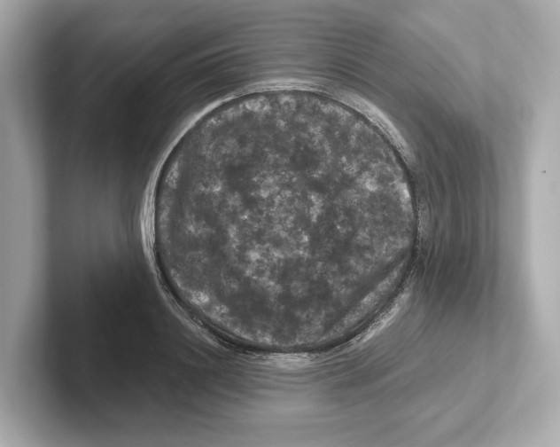 X0000101090844200807241006