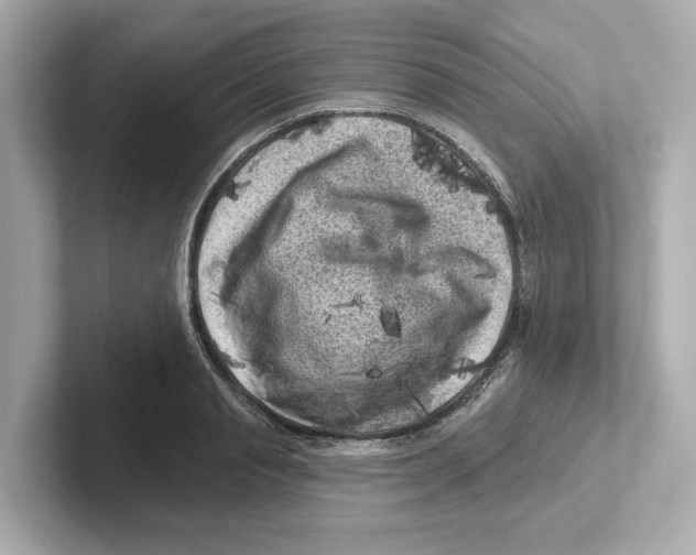 X0000101090845200807241006