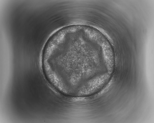 X0000101090846200807241006