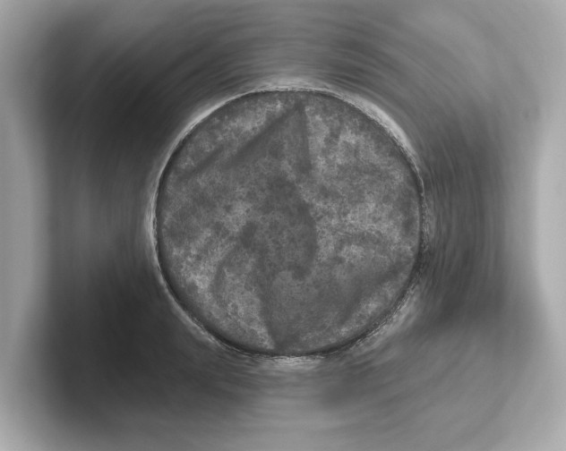 X0000101090847200807241006