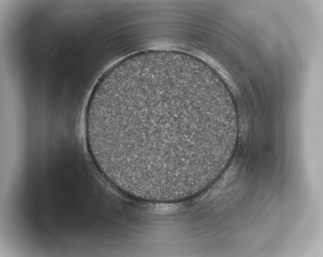 X0000101090848200807241006