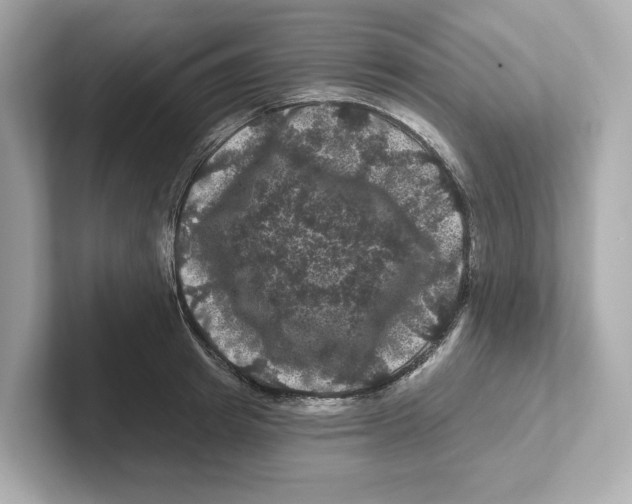 X0000101090849200807241006