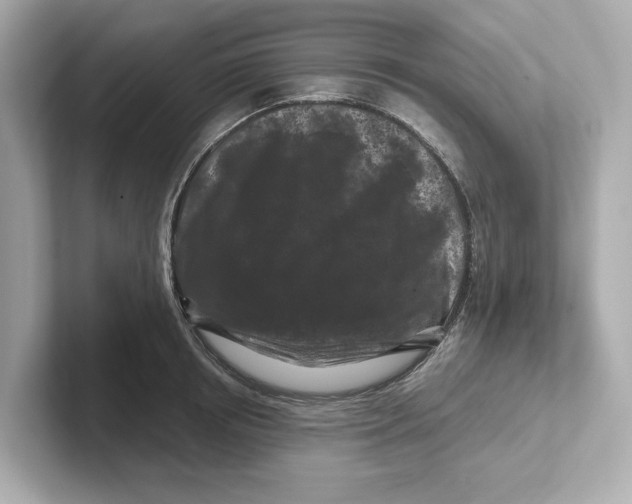 X0000101090850200807241006