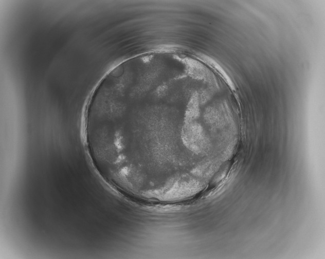 X0000101090851200807241006