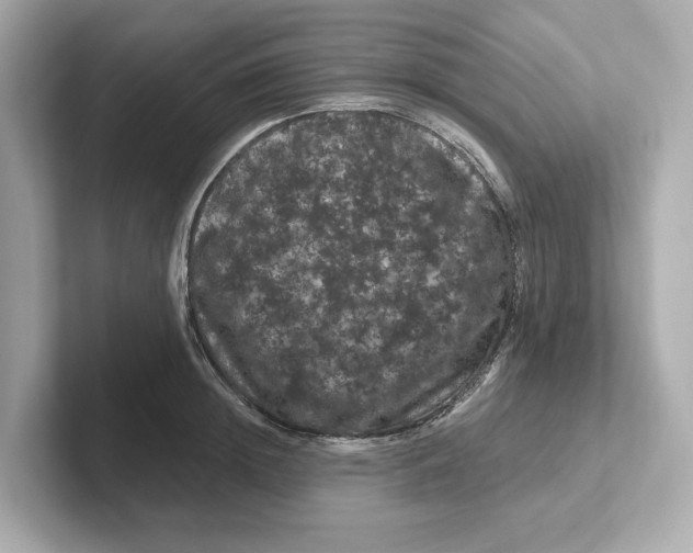 X0000101090852200807241006