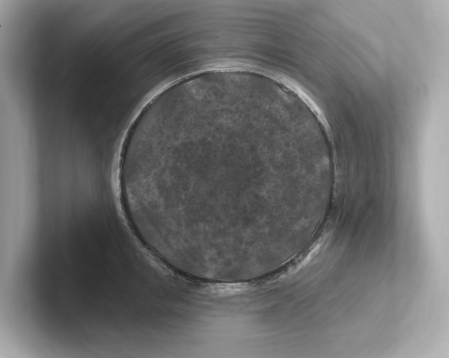 X0000101090853200807241006