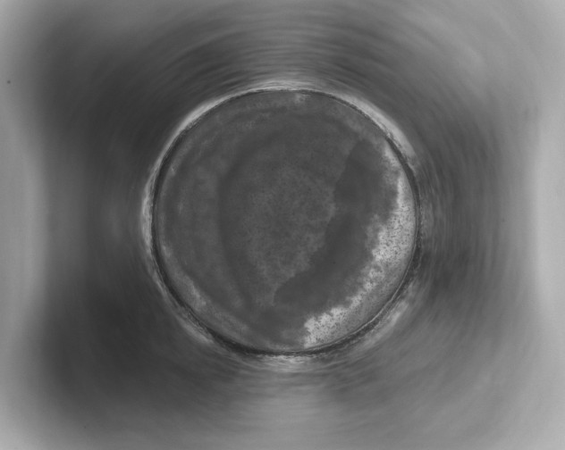 X0000101090854200807241006