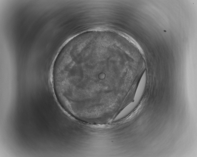 X0000101090855200807241006