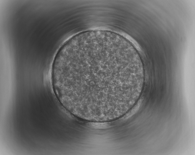 X0000101090856200807241006