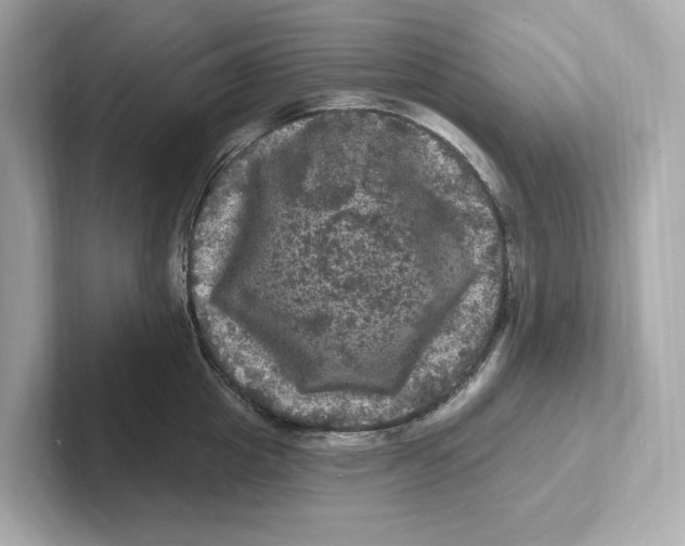 X0000101090857200807241006