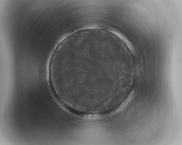 X0000101090858200807241006