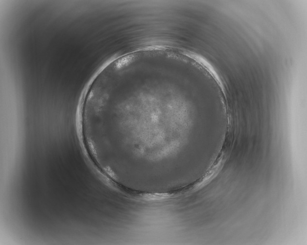 X0000101090859200807241006