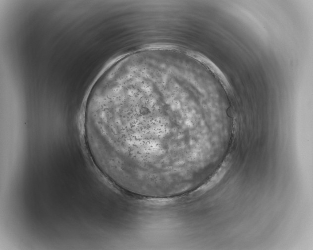 X0000101090860200807241006