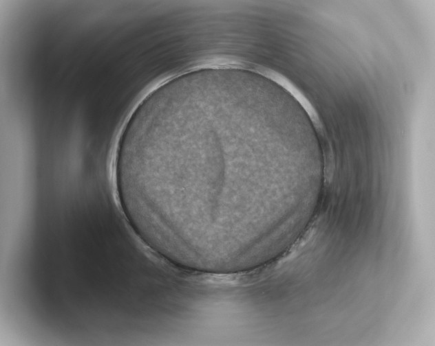 X0000101090861200807241006