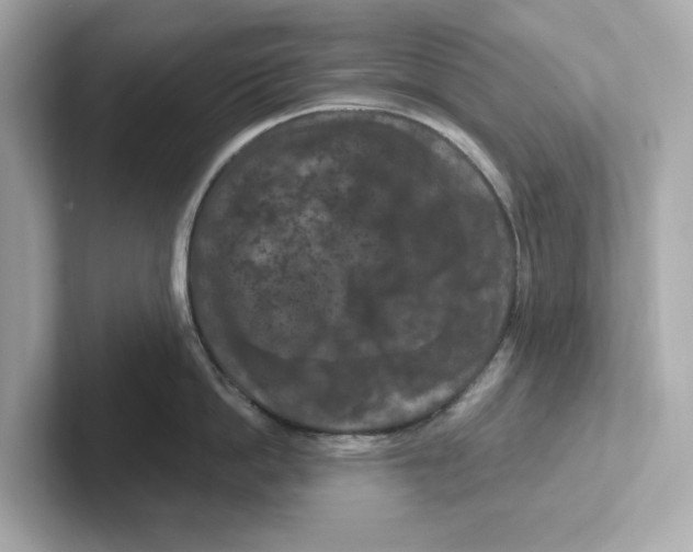 X0000101090862200807241006